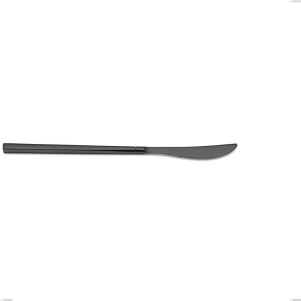 Kyoto Black Table Knife, Stainless Steel (Aisi 304) with Polished Steel PVD Treatment, Length 229 mm