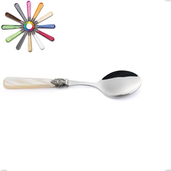 Napoleon Pearl Serving Spoon, (18.10 aisi304 stainless steel), Length 236 mm acrylic handles