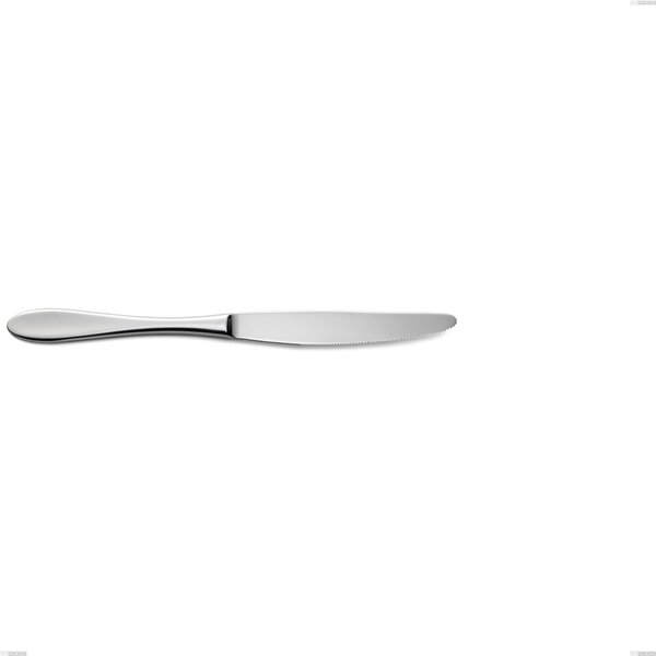 Oasi Fruit Knife, Stainless Steel Aisi 304 Polished Cutlery, 2 mm Thickness, 220 mm Length