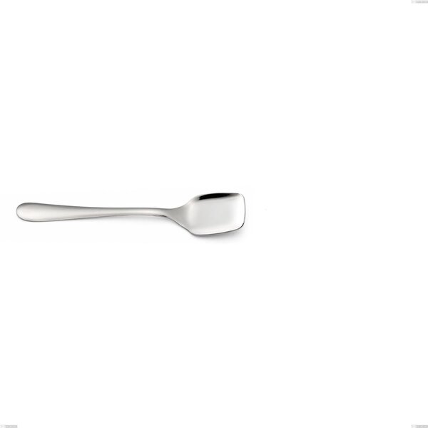Segno Ice Cream Spoon, Stainless Steel 18/10 (AISI304), Thickness 1.8 mm - Length 134 mm