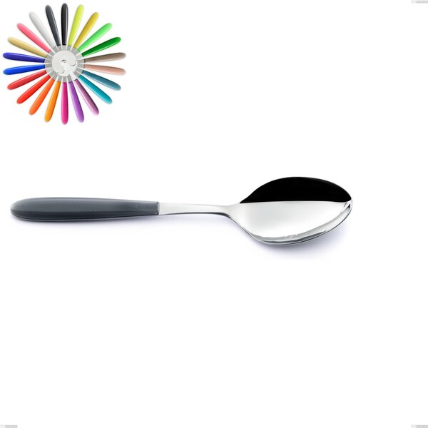 Vero Serving Spoon, 18/0 AISI 430 Stainless Steel Nickel Free with ABS Acrylic Handles