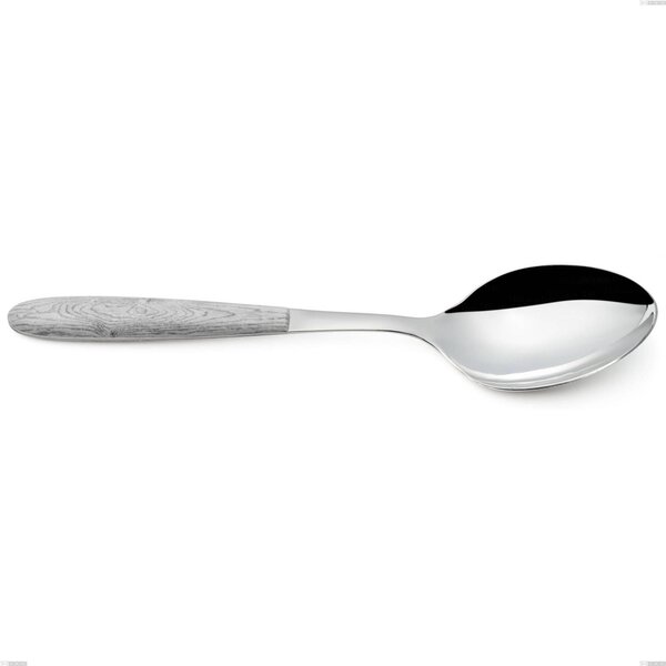 True Birch Serving Spoon, 18.0 Steel, PBT Sublimated Polished Steel Handle, Length 250 mm Name: Vero Betulla