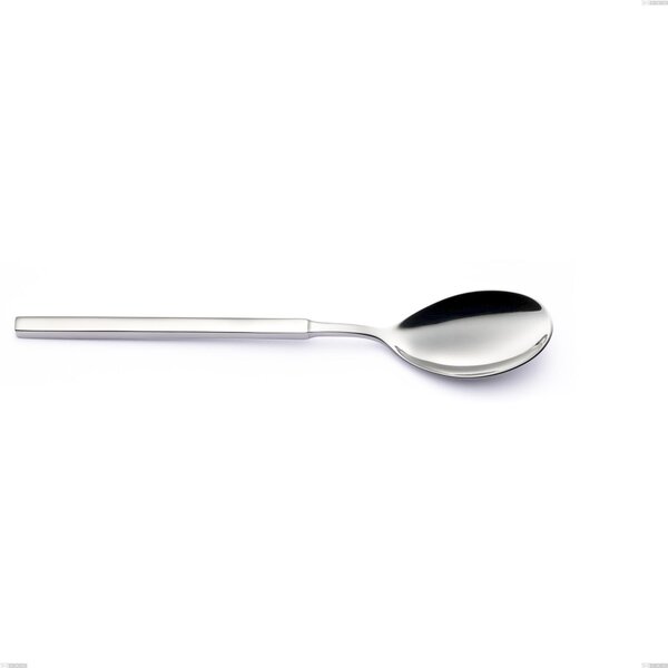 Zeus Inox Serving Spoon, Polished Forged Stainless Steel 18/10 (AISI 304) - Length 240 mm