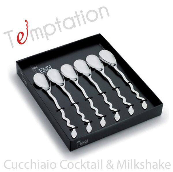Stainless Steel Spoon Set 6 Pieces 204 mm DrinkMilk Temptation