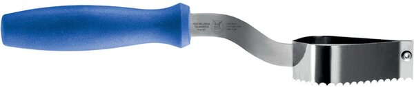 Professional Accessory Used for Removing Fish Scales, 23 cm Stainless Steel, Blue Ergonomic Handle