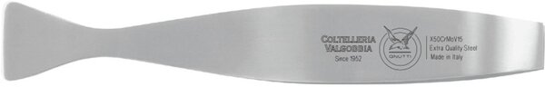 Stainless Steel Fish Bone Tweezers for Removing Small Bones, 20 cm, Polished Blade Colour