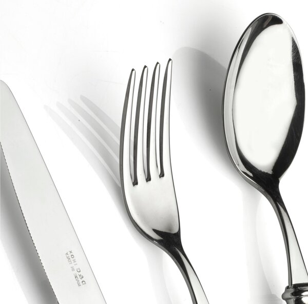 4-Piece Table Setting FRANCE Glossy Ring Polished 18/10 Stainless Steel Cutlery 2.5mm Thick Mother-of-Pearl Acrylic Handle with Metal Ring Glossy Effect