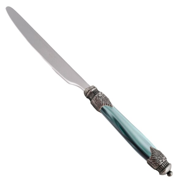 Arianna Table Knife Set of 6 Pieces in 18.10 Steel Length 24 cm with Plexiglas Handle and Antique Ring Dishwasher Safe Green