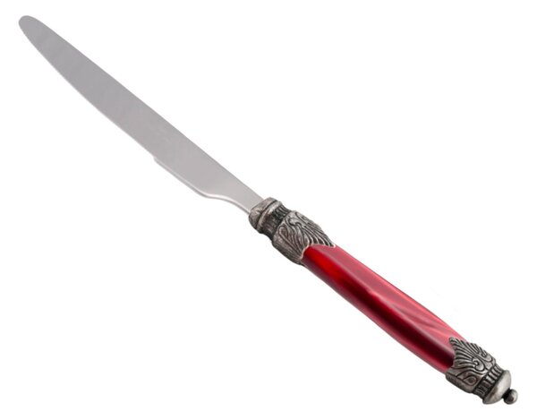Arianna 6-Piece Table Knife Set in 18.10 Stainless Steel, 24 cm Length, Plexiglas Handle with Antiqued Ring, Dishwasher Safe, Bordeaux
