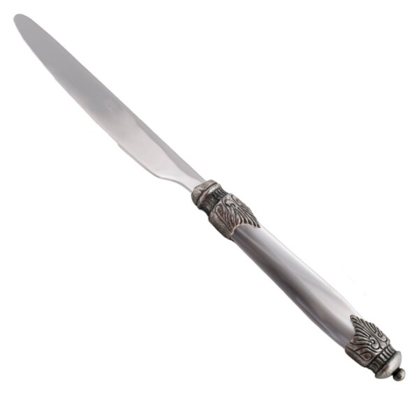 Arianna Cutlery Set of 6 Pieces in 18.10 Steel Length 24 cm Handle in Plexiglas with Antique Ring Dishwasher Safe Grey