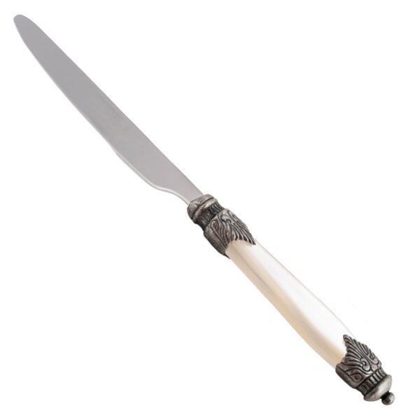 Arianna Table Knife Set of 6 Pieces in 18.10 Steel Length 24 cm Plexiglas Handle with Antique Ring Dishwasher Safe Ivory