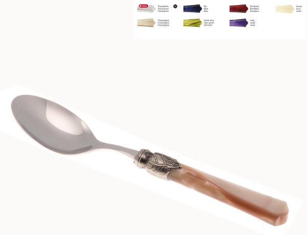 VITTORIA Table Spoon Set of 6 Pieces in 18.10 Steel Length 22.5 cm, Plexiglass Handle with Antique Ring, Dishwasher Safe, Champagne Colour