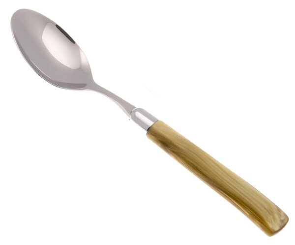 Jade Model Table/Soup Spoon Set of 6 Pieces in 18.10 Steel Length 26 cm PMMA Handle Dishwasher Safe Olive Green