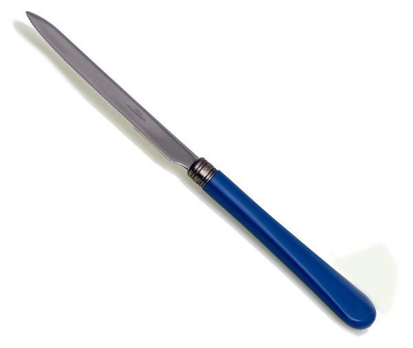 Serrated Table Knife MOD Giulietta Set of 6 Pieces in 18.10 Steel Length 23 cm Handle in PBT Dishwasher Safe Colour Blue