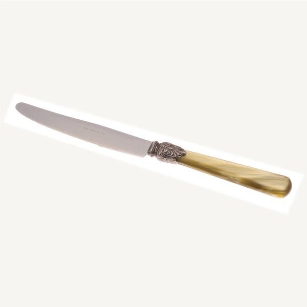 ELENA Set of 6 Table Knives in 18.10 AISI430 Steel Length 26 cm, Handle in Polymethyl Methacrylate PMMA with Metal Ring Dishwasher Safe Olive Green