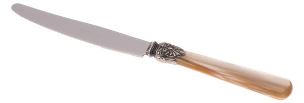 ELENA Cutlery Set of 6 Table Knives in 18.10 AISI430 Steel Length 26 cm, Handle in Polymethyl Methacrylate PMMA with Metal Ring Dishwasher Safe, Champagne