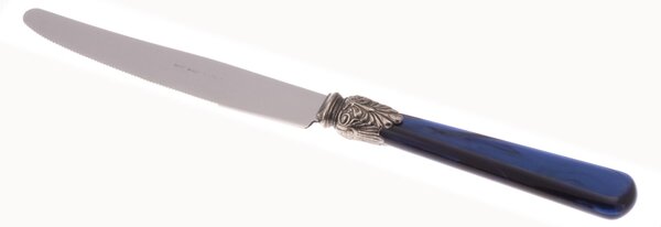 ELENA Table Knife Set of 6 Table Knives in 18.10 AISI430 Steel Length 26 cm, Handle in Polymethyl Methacrylate PMMA with Metal Ring Dishwasher Safe, Blue