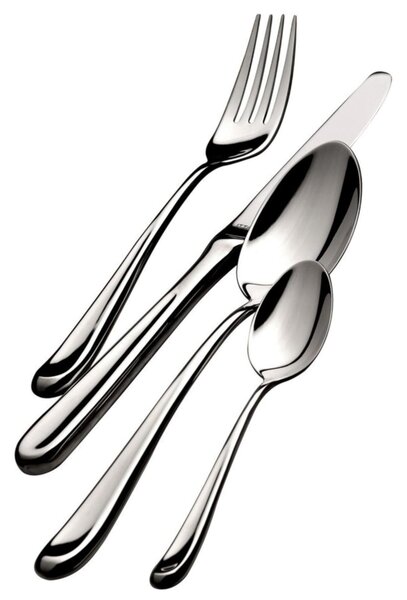 Cutlery set 49 pieces in wenge wood case Futura Lucido Bugatti, polished 18.10 chrome steel