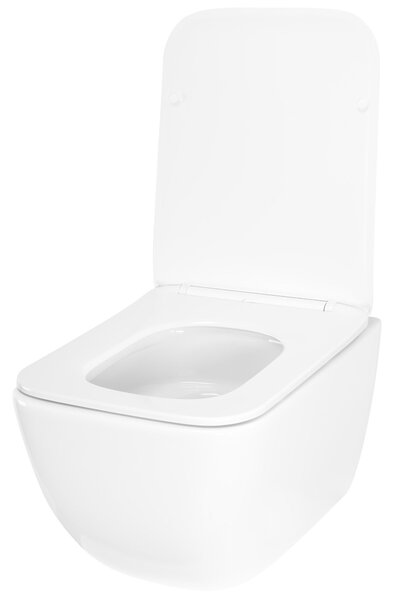 Toilet bowl Rea Dexter Tornado
