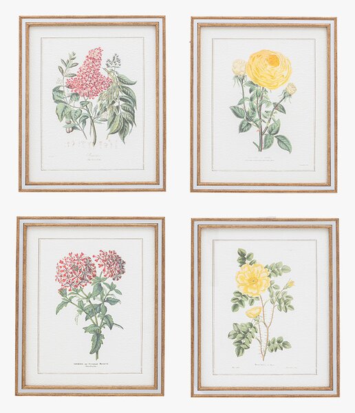 Floral Symphony Framed Wall Art, Set of 4