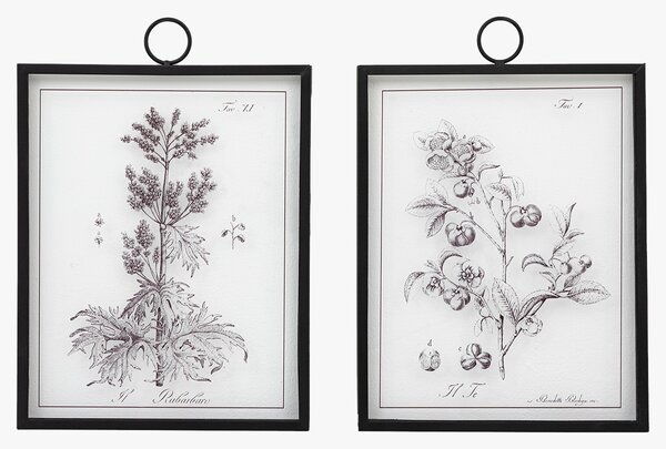 Flourish Wall Art, Set of 2