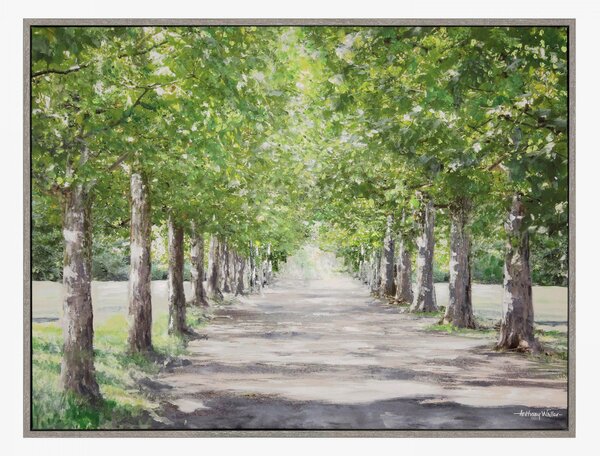 Shaded Stroll Framed Wall Art