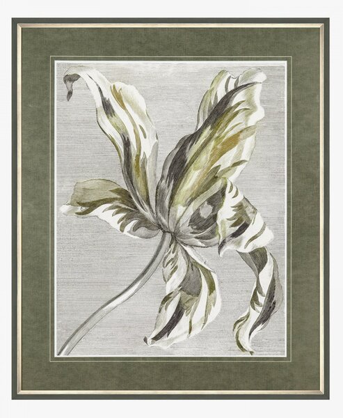 Tulip Illustration Framed Wall Art