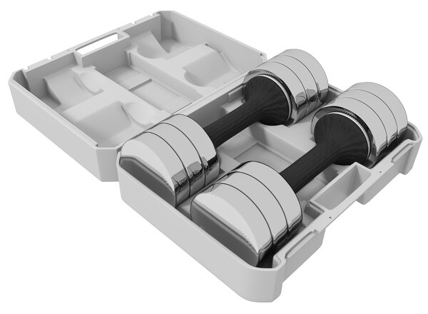 SPORTNOW Adjustable Dumbbells Weights Set with Storage Box, 10kg x 2