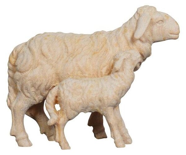 Sheep with lamb standing for Nativity scene - Alpine