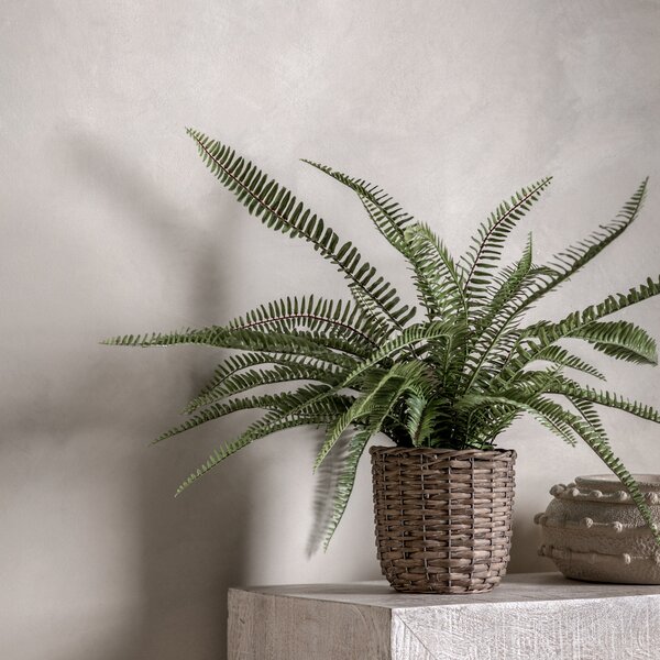 Artificial Fern in Wicker Pot MultiColoured