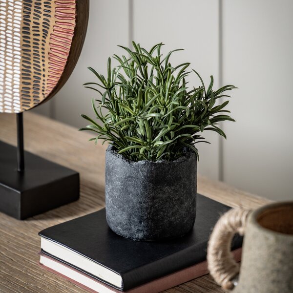 Artificial Fern in Cement Pot MultiColoured