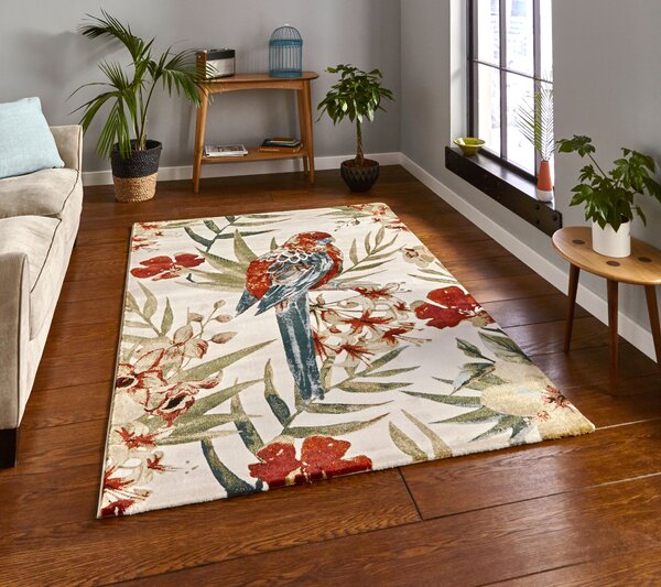 Tropics 6093 160cm x 230cm Rug Cream Multi