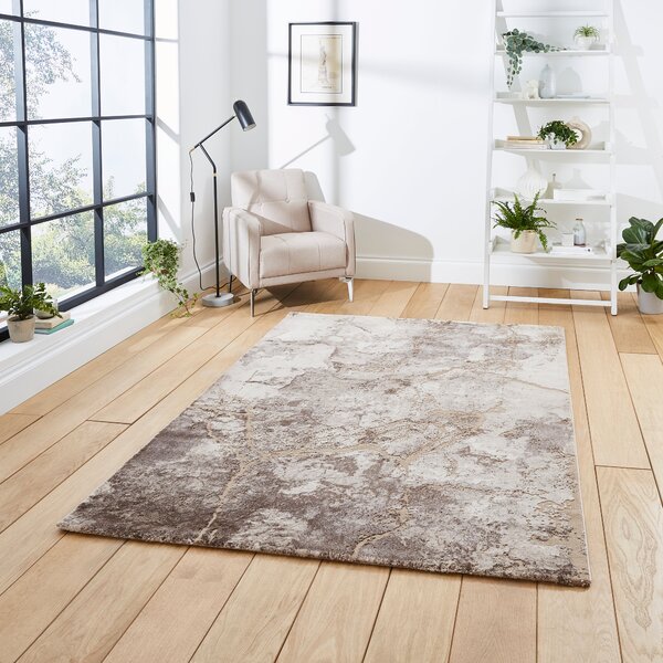 Florence 50032 120cm x 170cm Rug Beige Silver