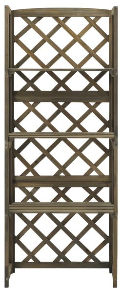 Trellis with Shelves Grey 55x30x140 cm Solid Fir Wood