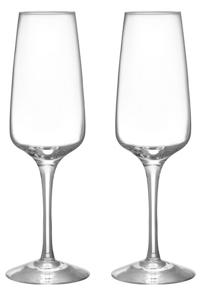 Orrefors Pulse champagne glass 28 cl 2-pack Clear