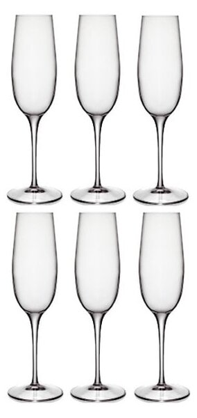 Luigi Bormioli Palace champagne glasses 6-pack 23.5 cl