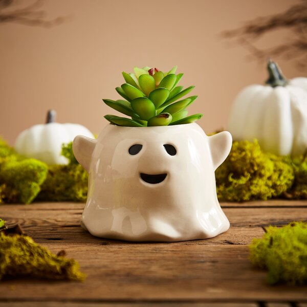 Artificial Ghost Succulent White