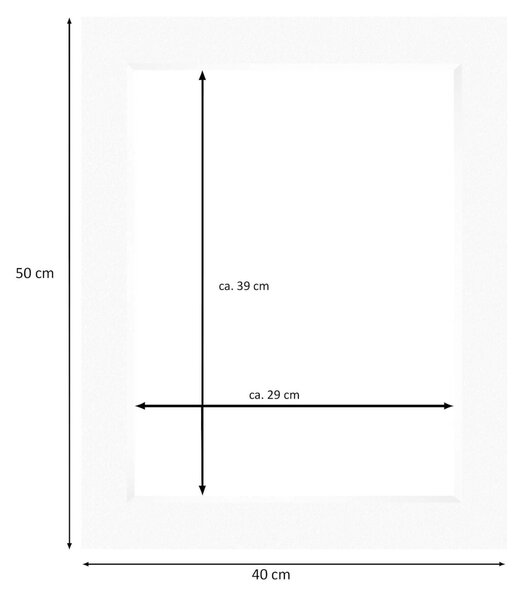 Nielsen Conservation White Picture Mount