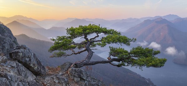 Photography When the Day Breaks, Jaeyoun Ryu