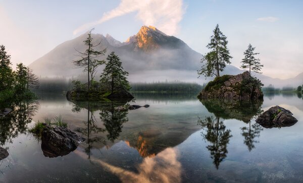 Photography Nature's Awakening, Daniel Fleischhacker