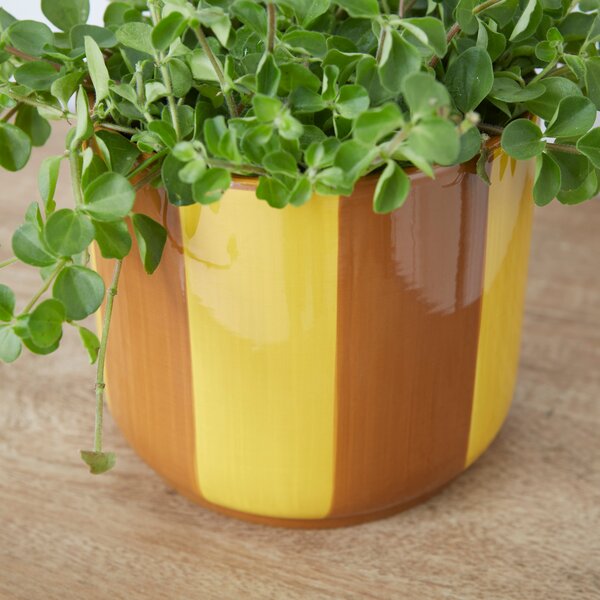 Elements Striped Ceramic Plant Pot