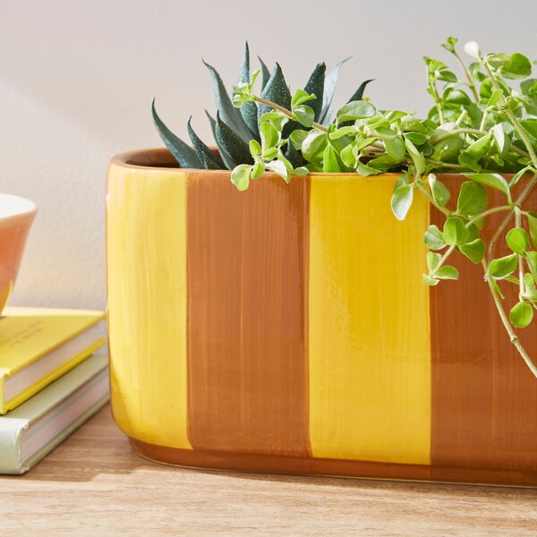 Elements Striped Ceramic Windowsill Plant Pot