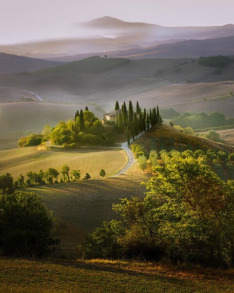 Photography Spring, Wim Denijs