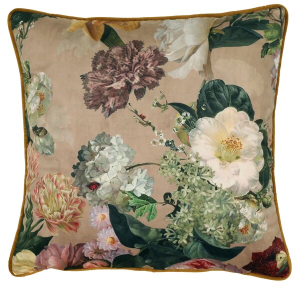 Linda Barker Florabunda Velvet 45cm x 45cm Filled Cushion Parchment