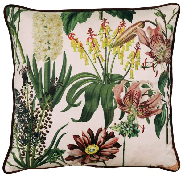 Linda Barker Grandi Floral Velvet 45cm x 45cm Filled Cushion Champagne