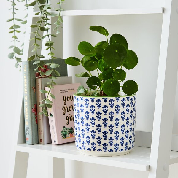 Bonnie Plant Pot Blue