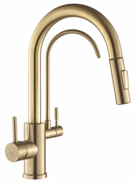 Kitchen faucet Eco Fresh BRUSH GOLD