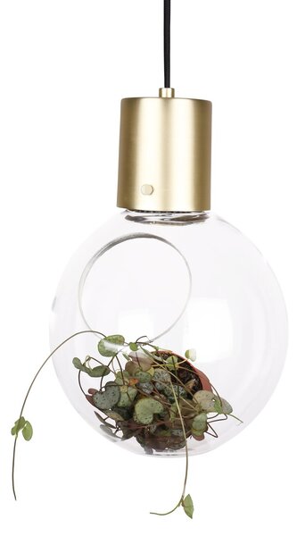 Globen Lighting Mini Hole ceiling lamp clear-brass