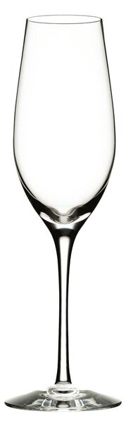 Orrefors Merlot champagne glass 33 cl