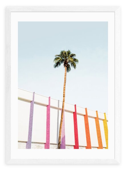 Palm Spring Colors II Print by Sisi and Seb MultiColoured